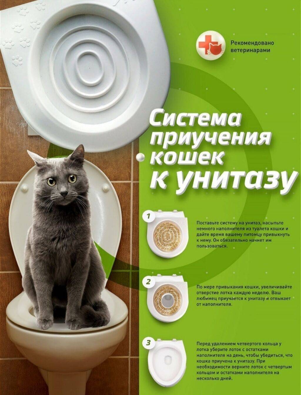 Как приучить кошку к нитазу: специальный лоток для приучения перемещаем в туалет