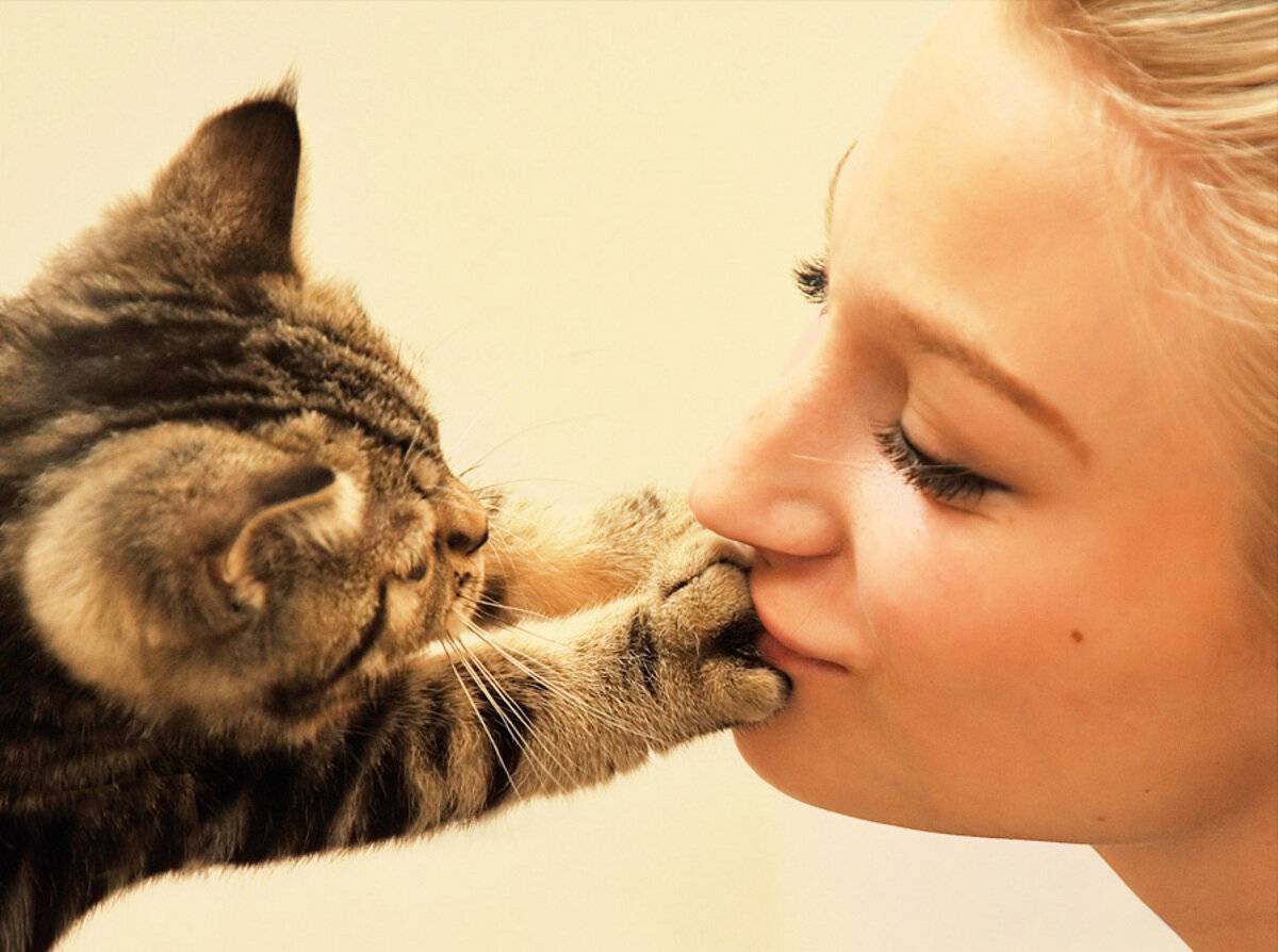 Как понять, что кошка любит хозяина?