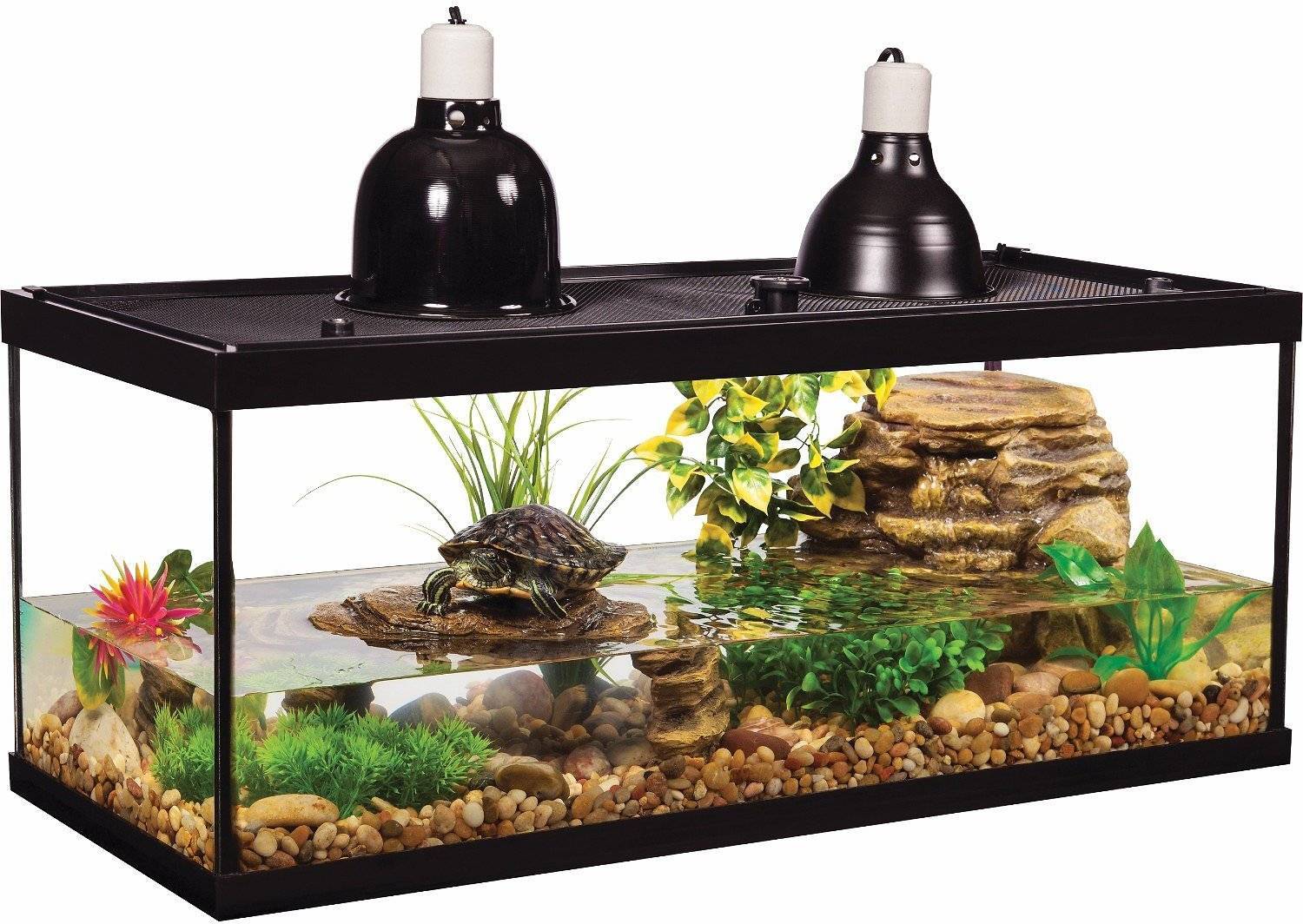 Что такое акватеррариум для красноухих водных черепах, как правильно обустроить аквариум с использование ламп