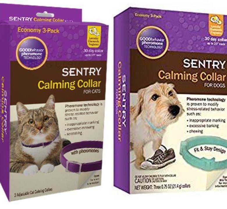 Успокоительные капли и таблетки для котят и взрослых кошек при стрессе и агрессии: какие средства можно дать животному?