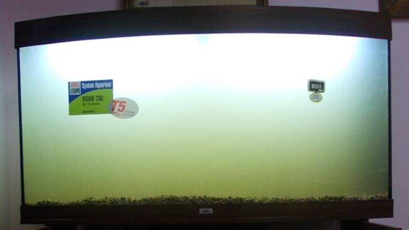 9 причин помутнения вода в аквариуме и что делать против этого
