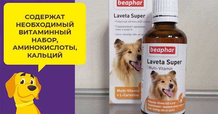 Обзор серии витаминов canina (канина) для щенков и взрослых собак