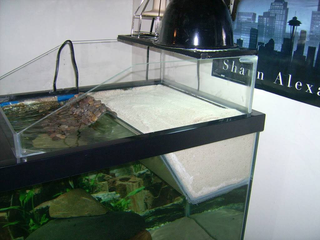 Островок для красноухой черепахи, оформление аквариума