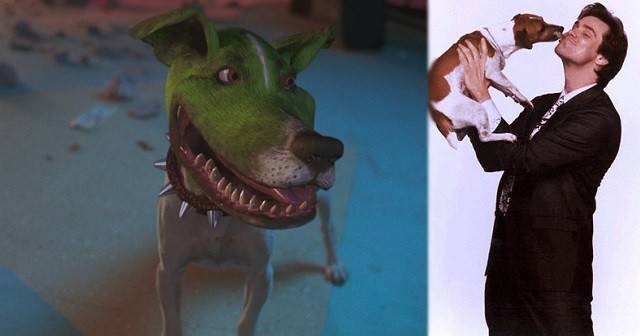 Джек-рассел терьер (фото) - жизнерадостная порода собаки из фильма "маска"