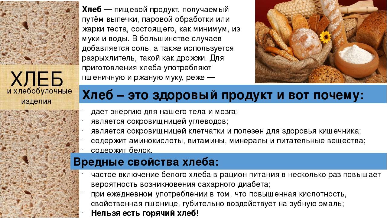 Стоит ли кормить собаку черным, белых хлебом или сухарями: что нужно знать о хлебе