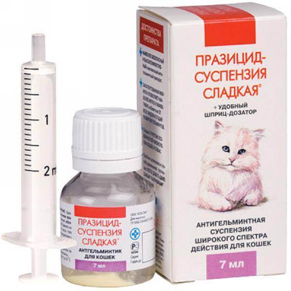 Глистогонные препараты для кошек - 5 видов средств