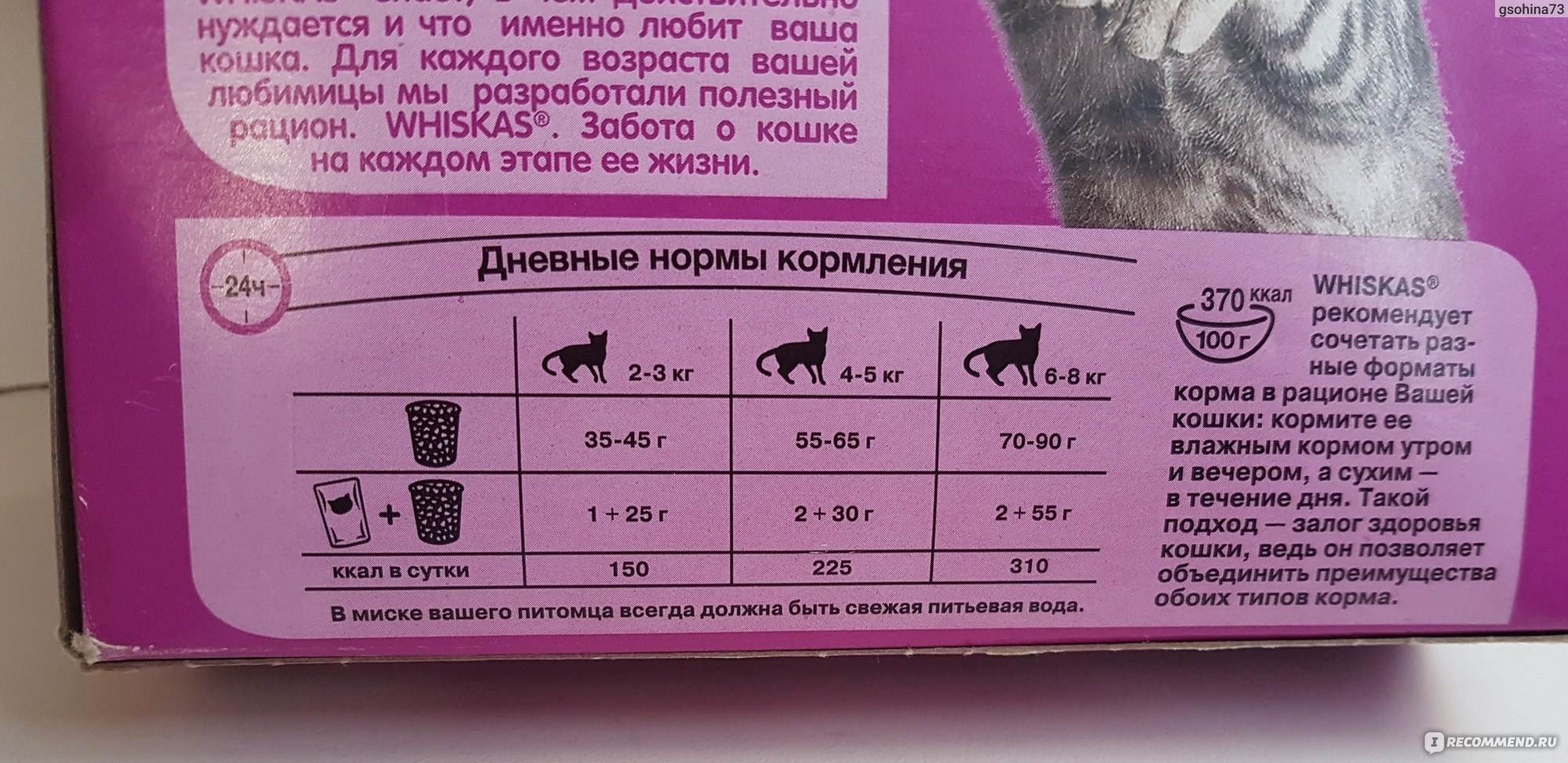 Лучшие сухие корма для стерилизованных кошек - рейтинг 2021 по мнению ветеринаров