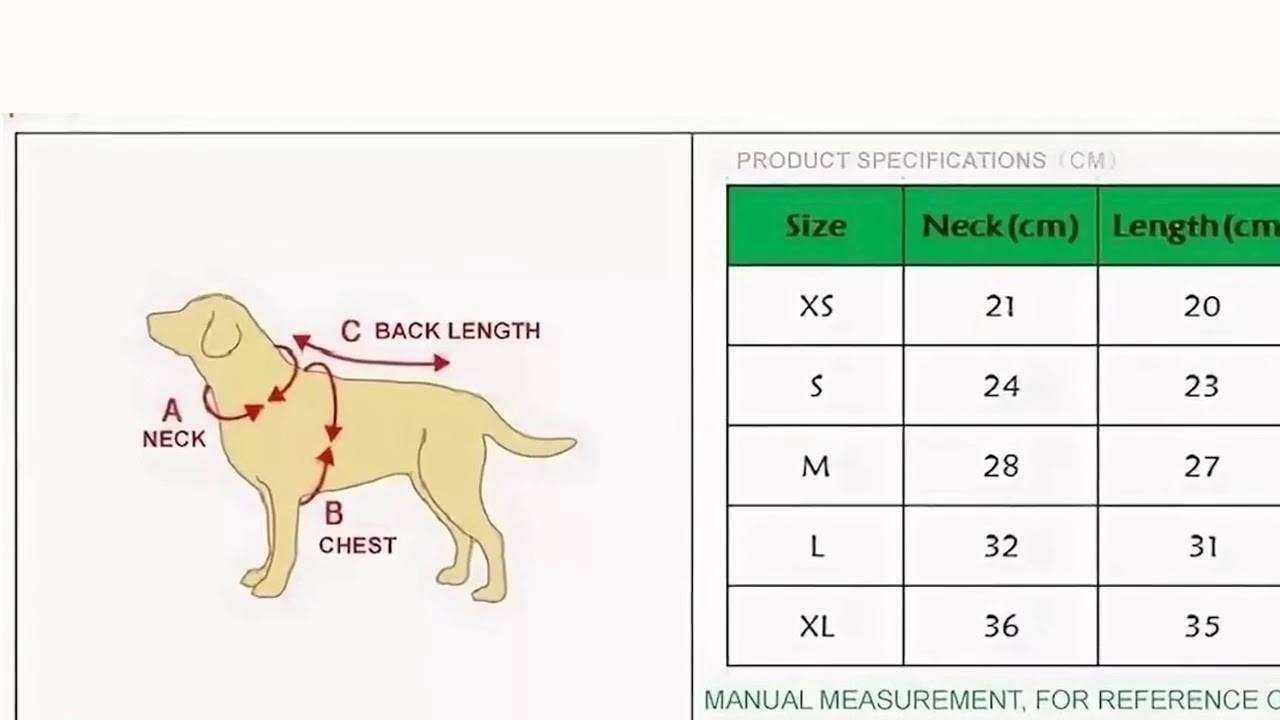 Как определить размер одежды для собаки?