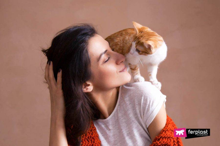 Как понять что кошка тебя любит – 10 верных примет