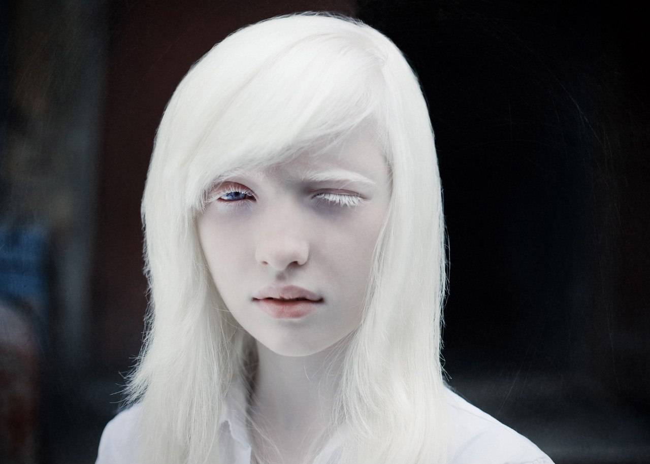 Окрасы добермана: альбинос, белый, черный и коричневый, голубой и изабелловый | medeponim.ru