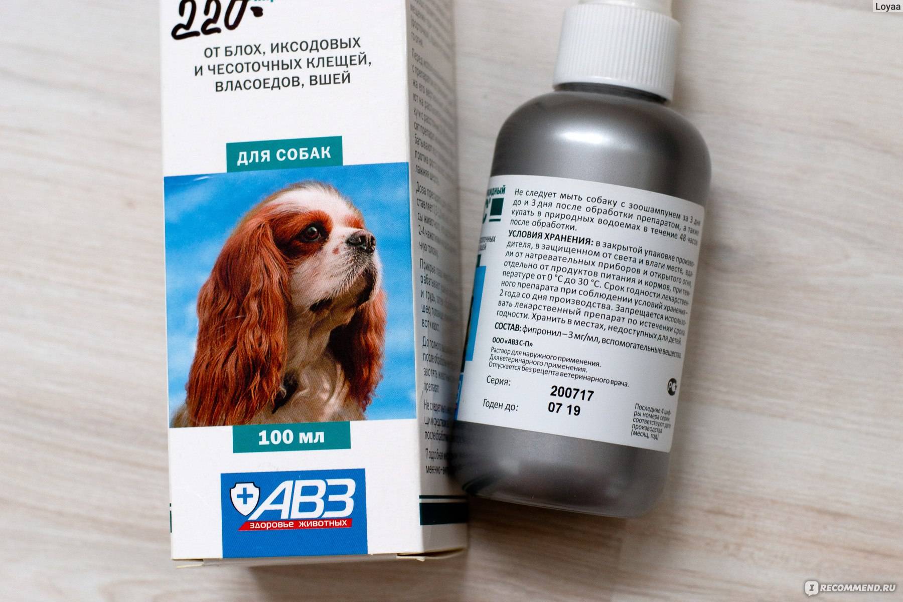 ᐉ арахноэнтомозы (блохи, власоеды, клещи) - как лечить у собак - ➡ motildazoo.ru