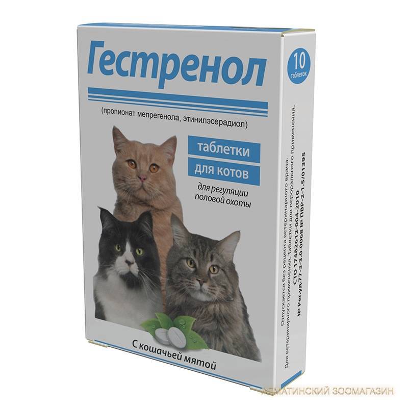 Капли для кошек во время течки - обзор препаратов