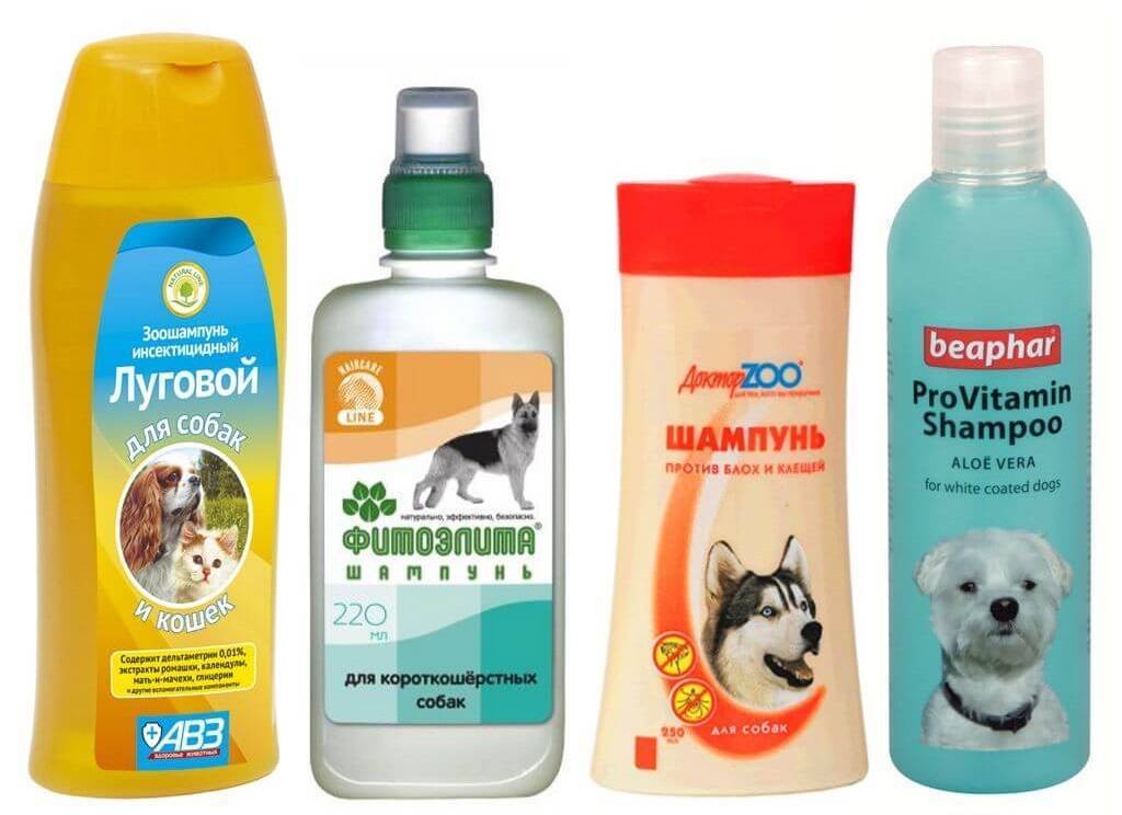 Обзор самых лучших профессиональных гипоаллергенных шампуней для собак и щенков