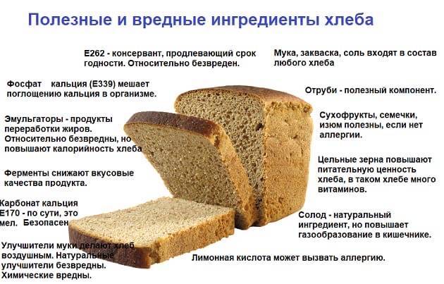 Можно ли хомякам хлеб