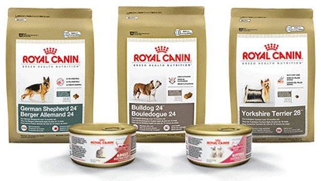 Различные виды корма от royal canin