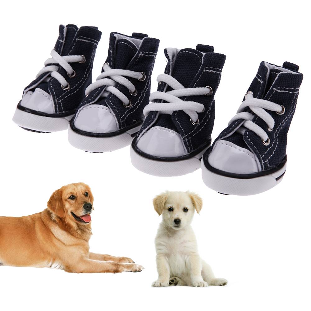 Делаем обувь для собаки своими руками – выкройки и пояснения к ним