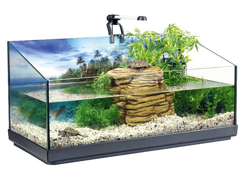 Что такое акватеррариум для красноухих водных черепах, как правильно обустроить аквариум с использование ламп