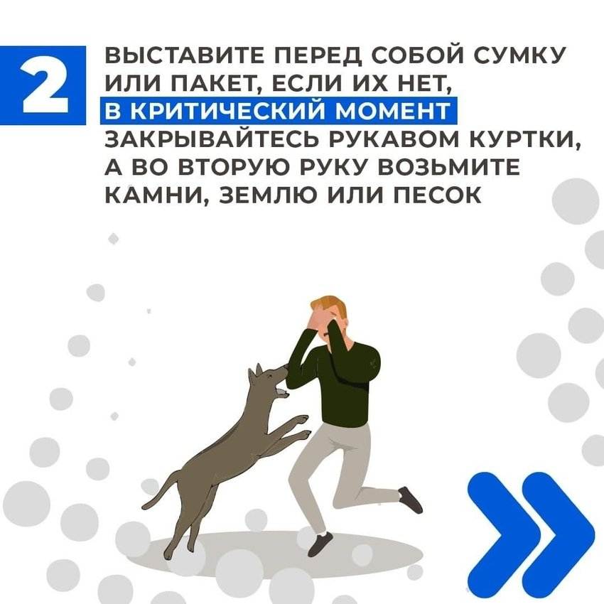 Как защититься самому и защитить ребенка от нападения собаки на улице: способы защиты. как правильно себя вести при нападении собаки: что нужно делать и чего делать нельзя? как защититься от стаи брод