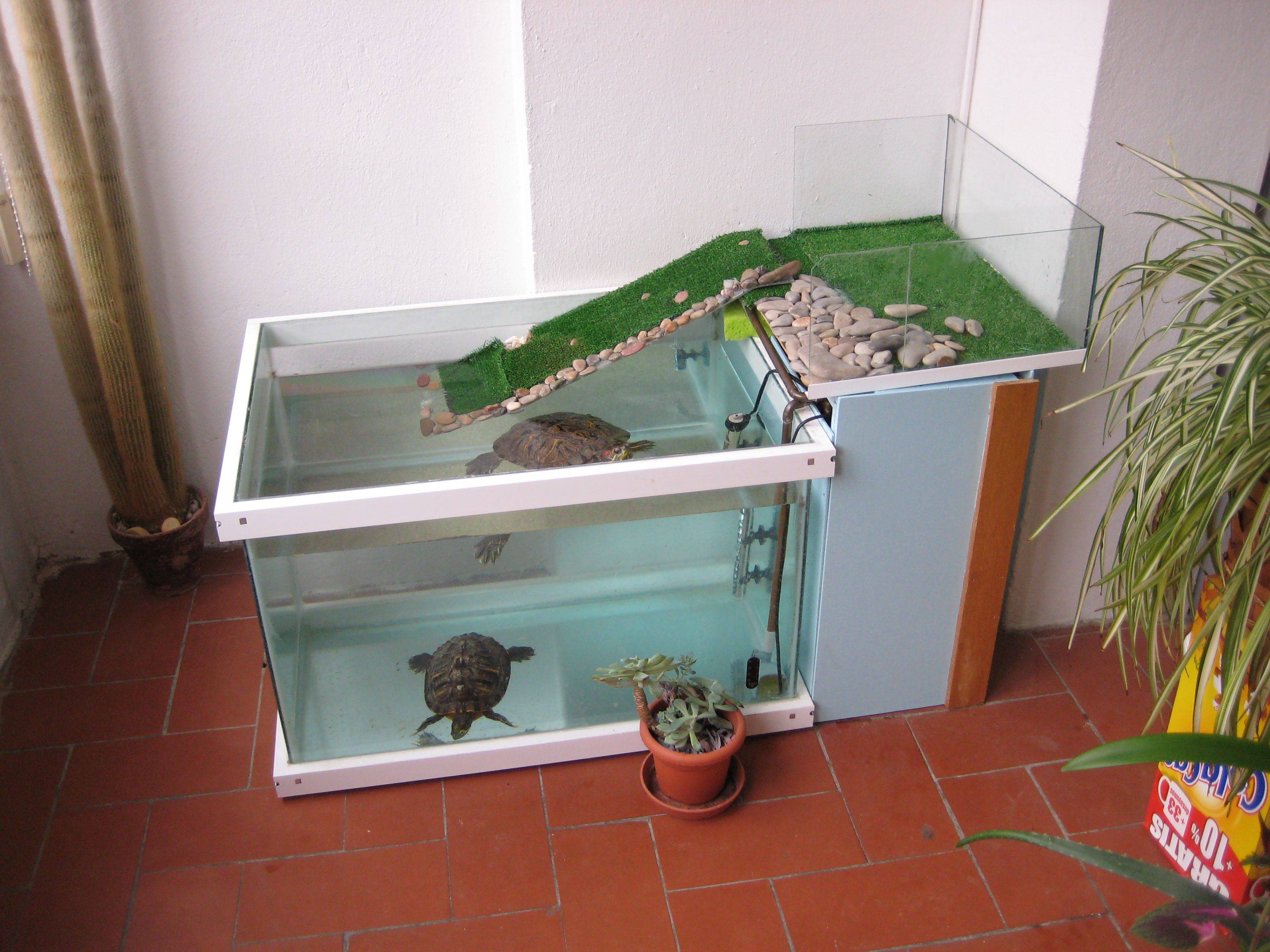 Аквариум для водной черепахи