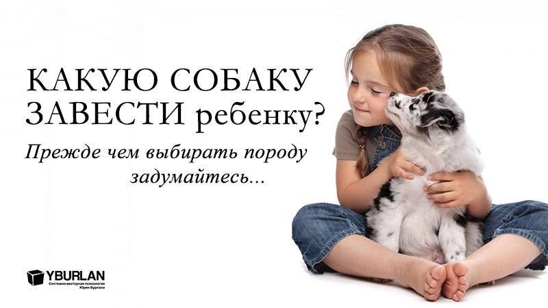 ᐉ как попросить у родителей собаку — как у мамы выпросить щенка? - zooshop-76.ru