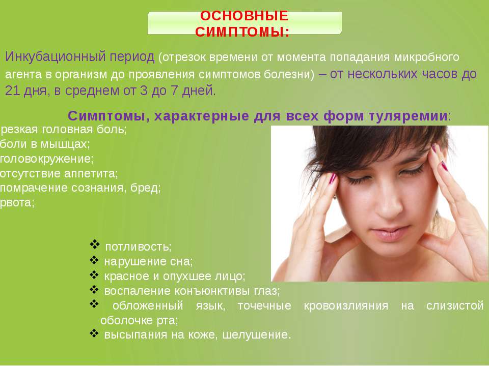 Болезни хомяков: описание, симптомы, диагностика и лечение :: syl.ru