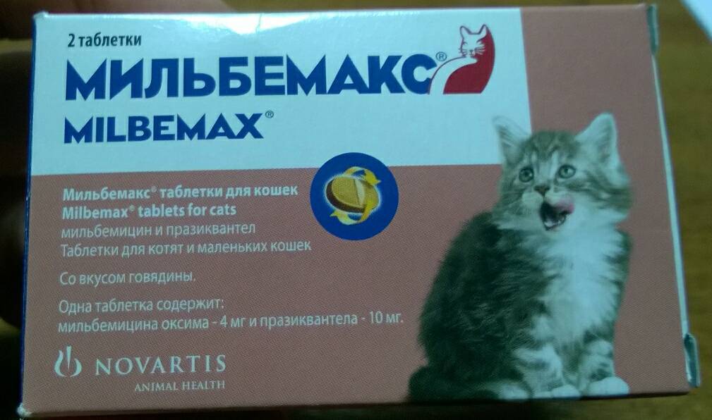 Таблетки, лекарства, капли от глистов для кошек: когда и как давать, названия, инструкции - zoosecrets
