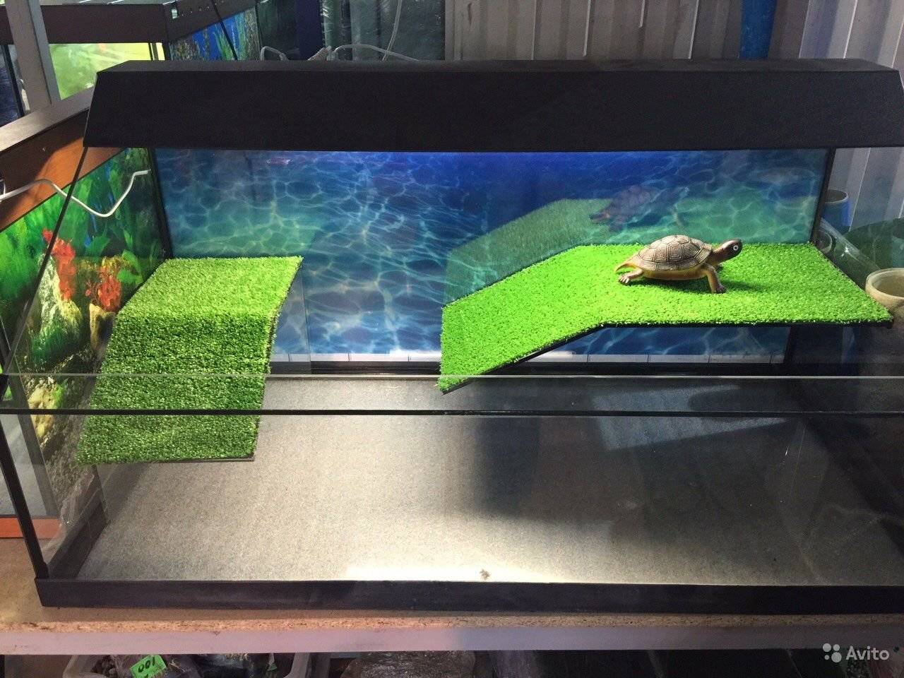 Как правильно обустроить аквариум для красноухих черепах