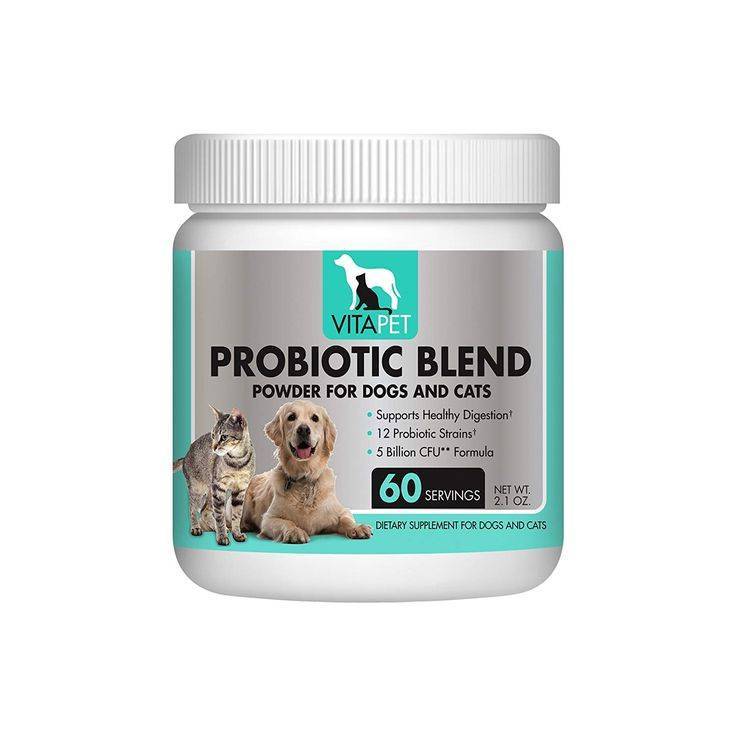 Пробиотики в корме для собак и кошек: ветеринарные дозы для здоровья кишечника, лучший пробиотик для собак