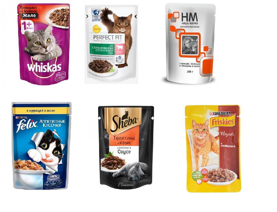 Самые дешевые корма для кошек: рейтинг топ-10 недорогих торговых марок