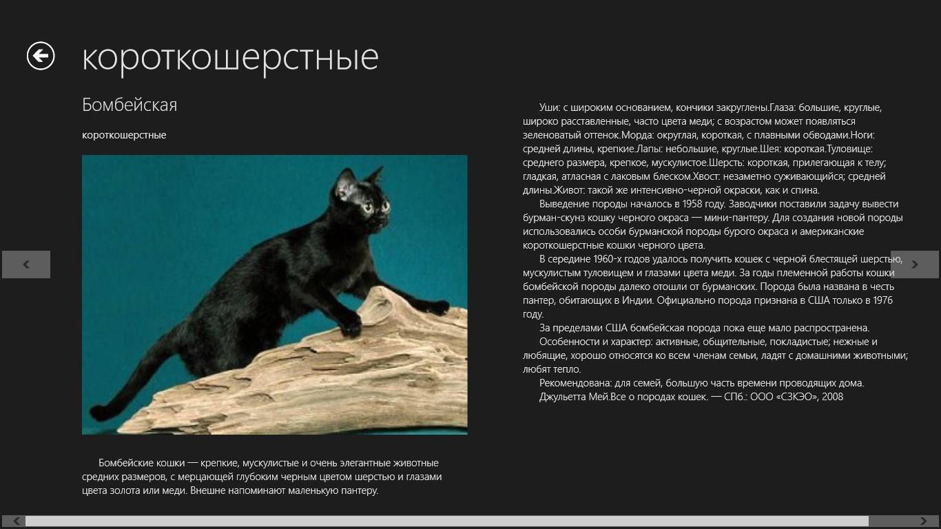 Черные кошки с зелеными глазами: породы, генетика окраса