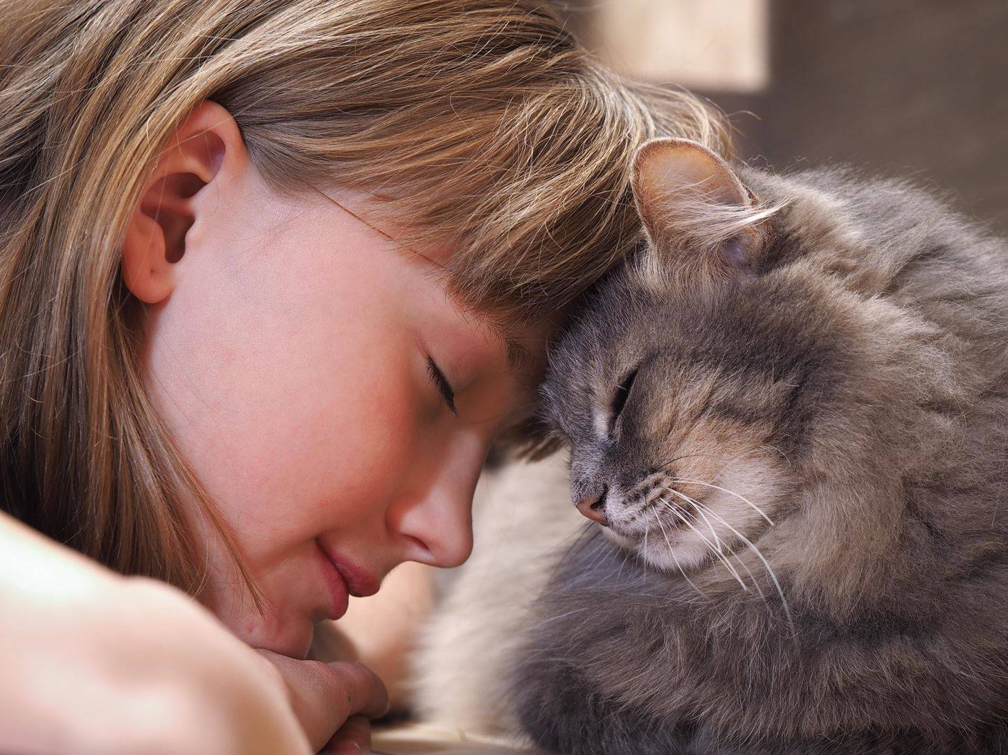 Как кошки выражают свою любовь к хозяевам
