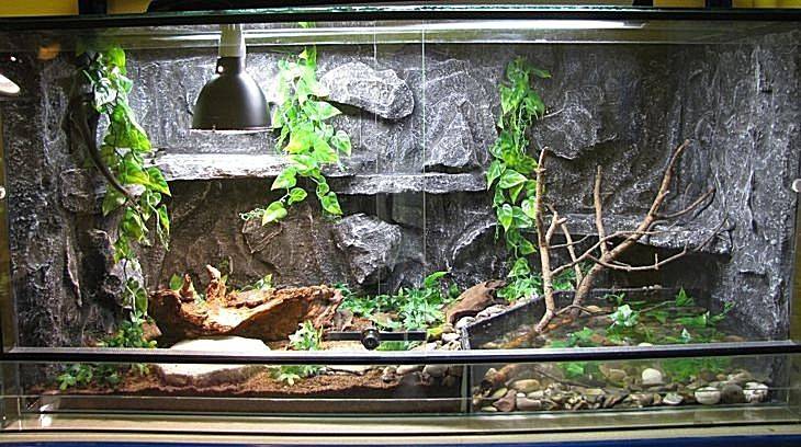 Террариум для сухопутных черепах своими руками. пошаговая инструкция изготовления и приспособления аквариума для домашней черепашки