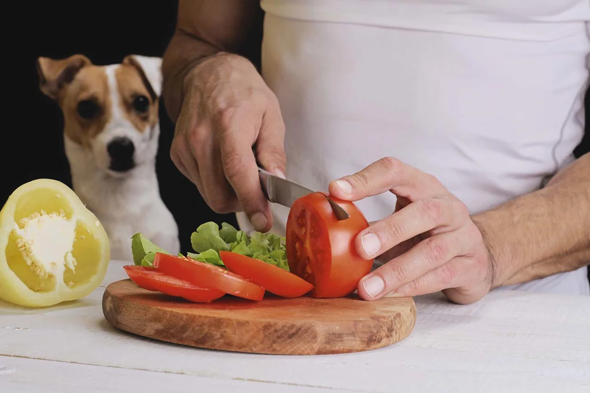 Овощи для щенка. Овощи для собак. Собака ест овощи. Овощи в рационе собаки. Собака ест овощи и фрукты.