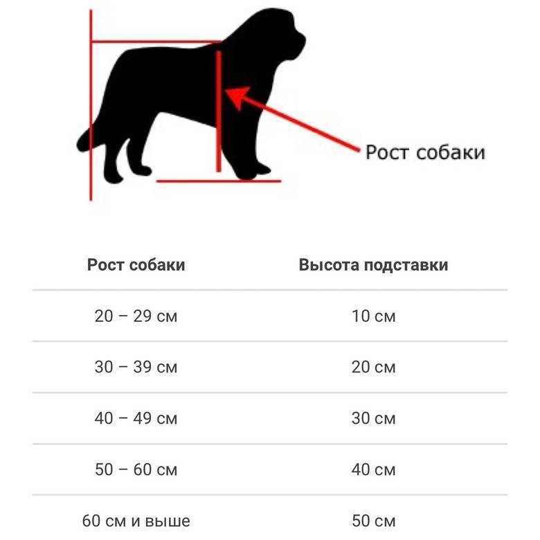 Таблица веса щенка по месяцам