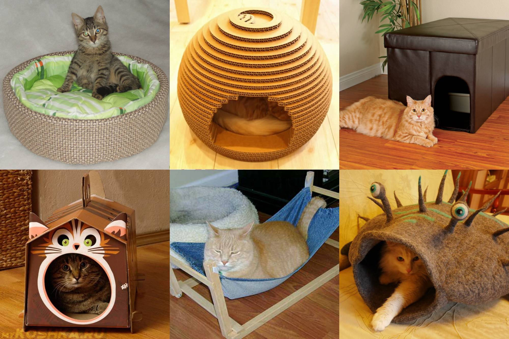 Лежанка для кошки своими руками: виды конструкций, материалы изготовления + мастер-класс для изготовления своими руками