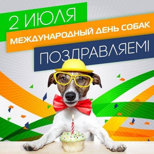 Международный день собак в россии: какого числа