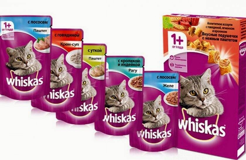 Whiskas (вискас): обзор корма для кошек, состав, отзывы