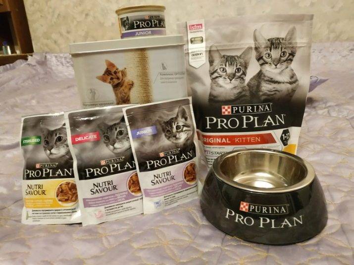 ᐉ обзор корма для кошек purina one - ➡ motildazoo.ru