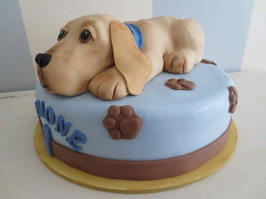 Какой торт испечь на грядущий год желтой собаки? — все про торты: рецепты, описание, история