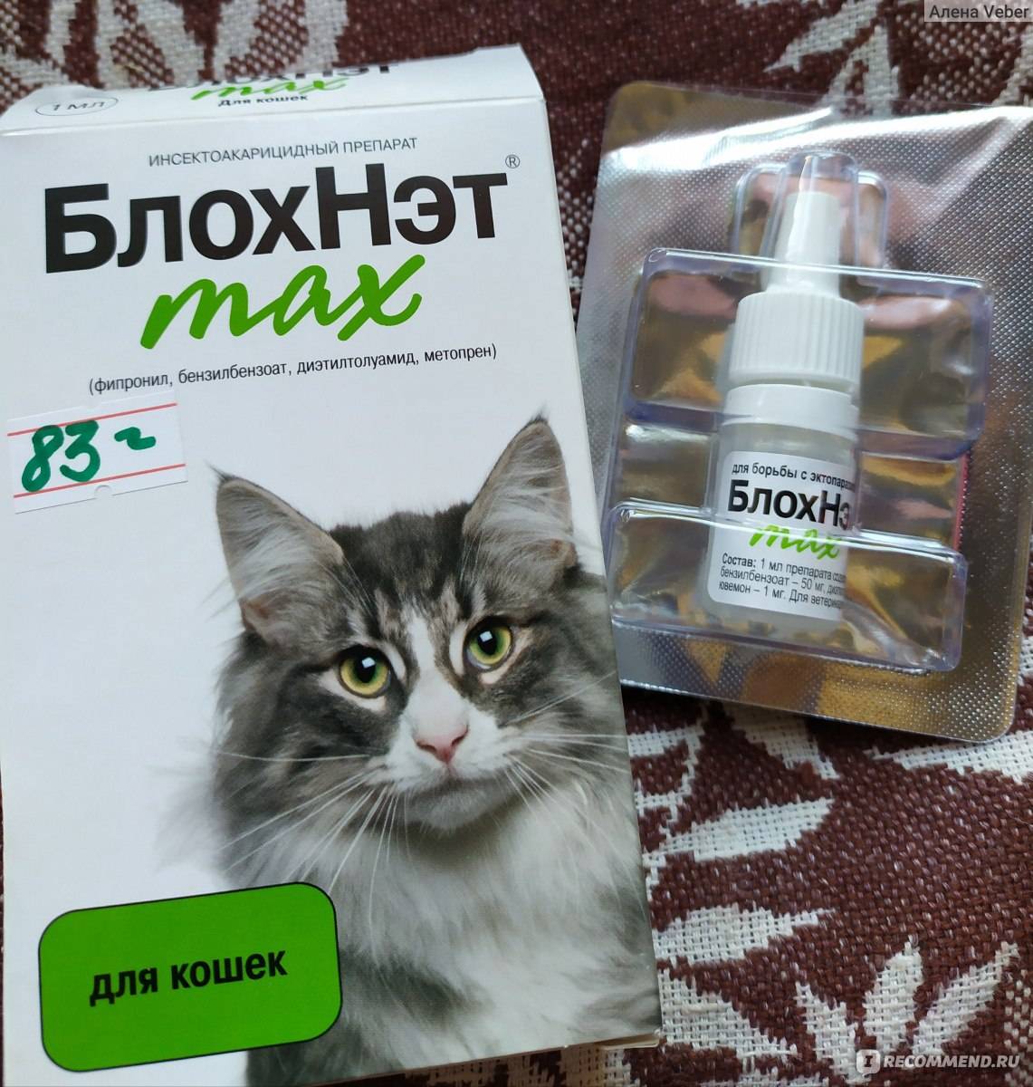 Препараты обзор препарата для кошек блохнэт. блохнэт для собак