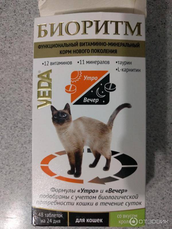 Витамины для кошек: зачем нужны и какие бывают