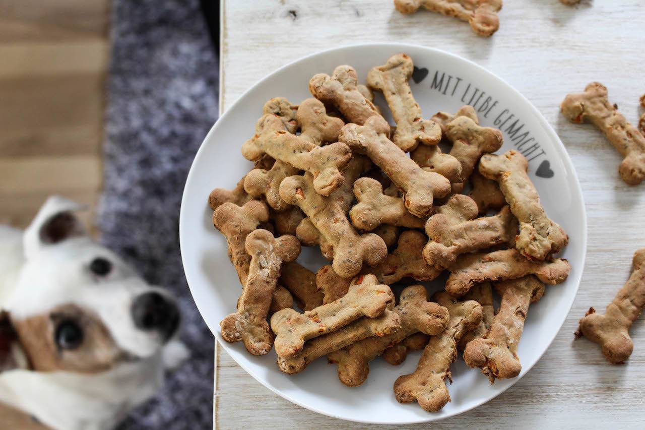 Лакомство для собак своими руками: из печени, лёгкого и бульона (фото и видео рецептов)