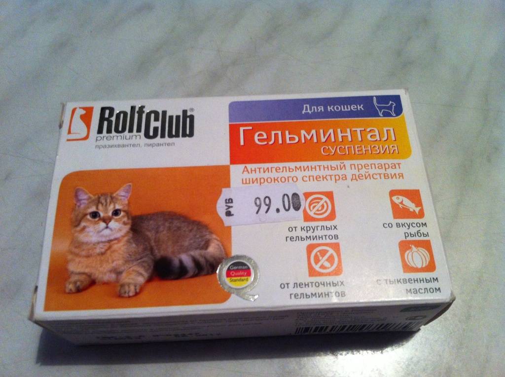 Глистогонное для кошек: обзор лучших препаратов :: syl.ru