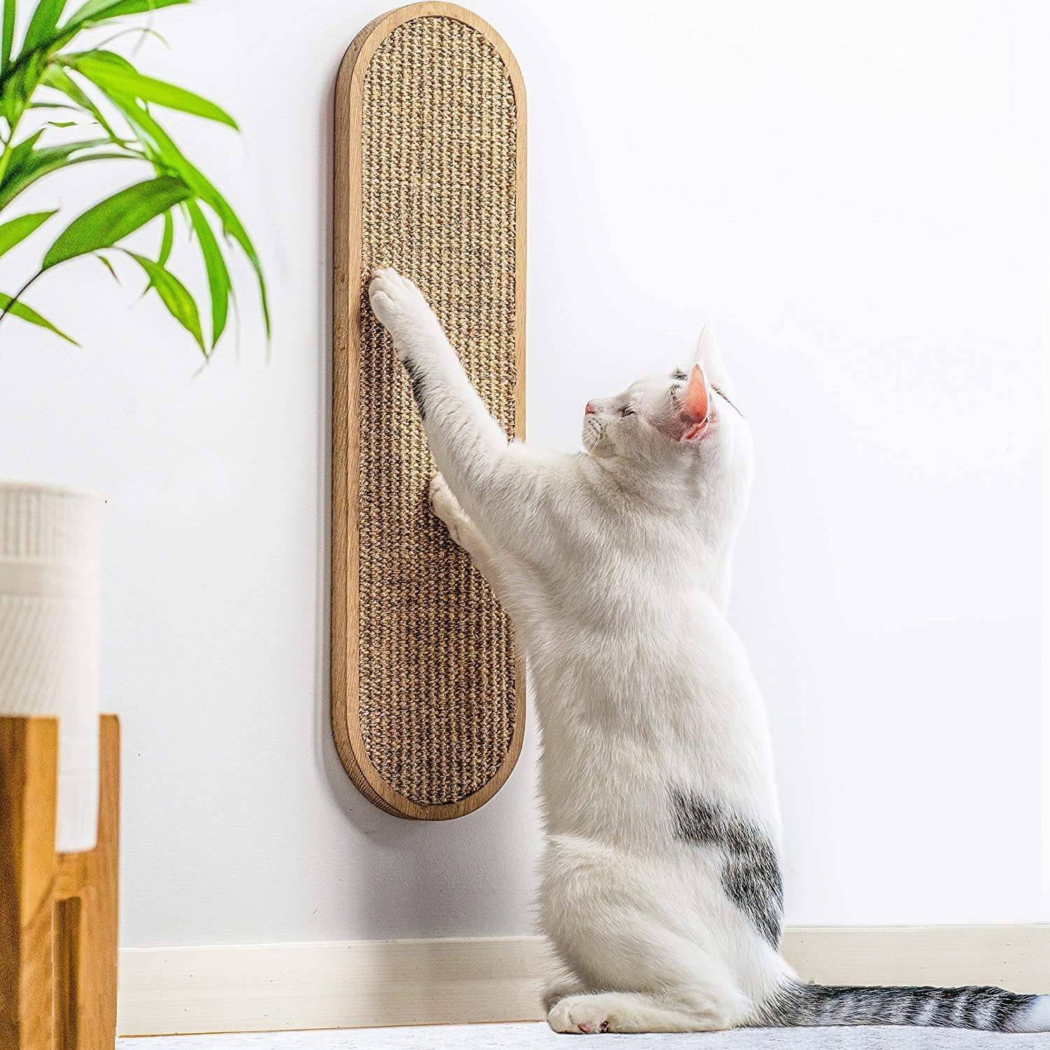 Как приучить котенка к когтеточке в квартире - быстро и легко - kupipet.ru