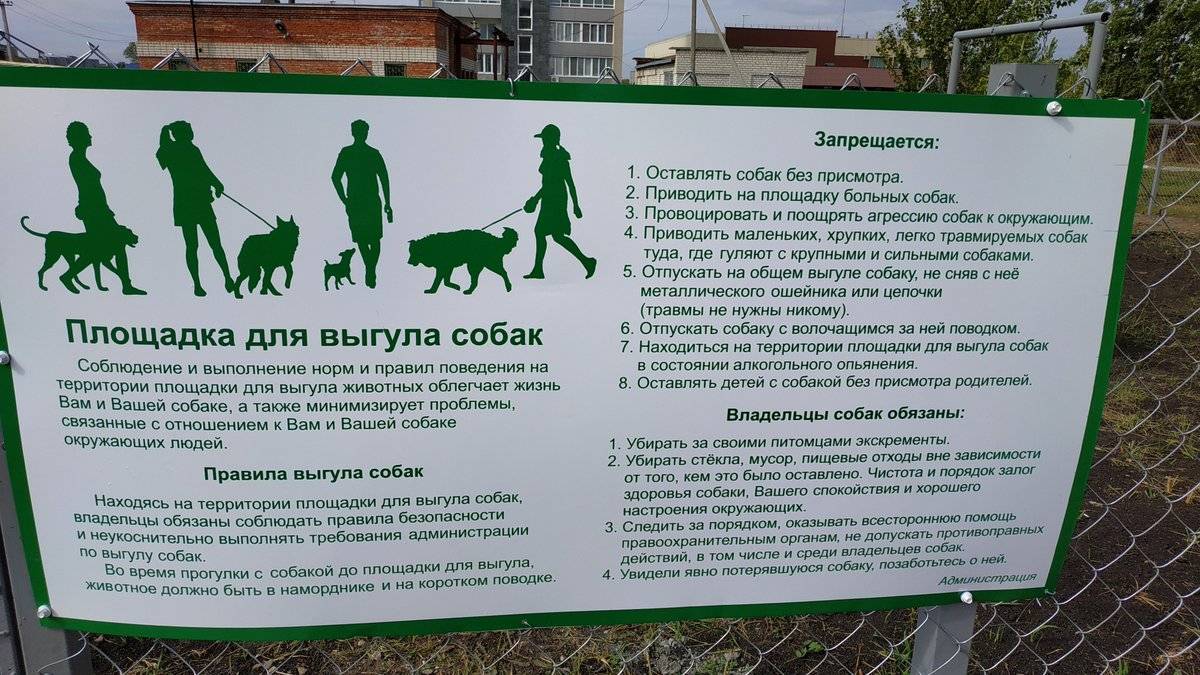 Правила выгула собак в городе: закон рф и штрафы за нарушение