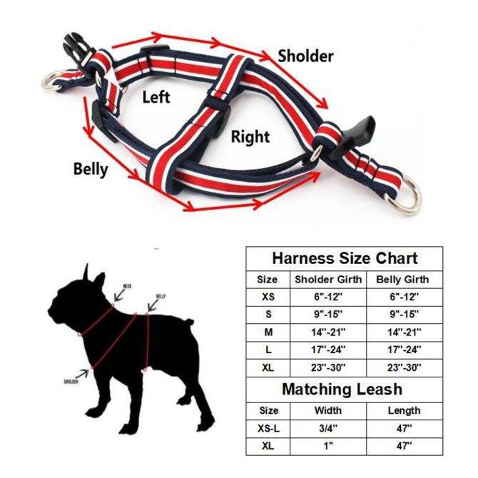 Как сделать ринговку для собаки своими руками: пошаговая схема и инструкции, мастер-класс – про собак от а до я на glamour-dog.ru