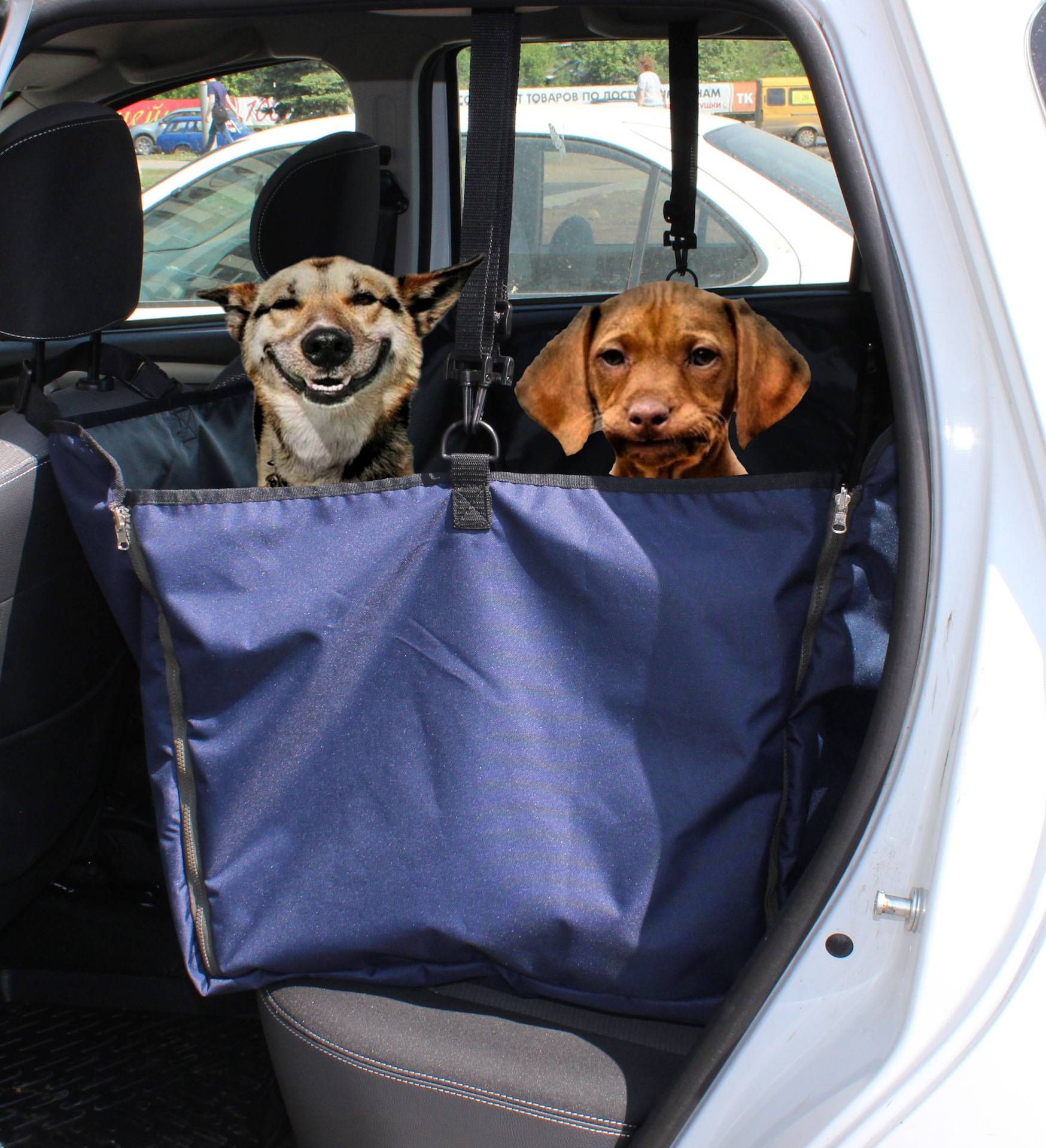 Правила перевозки собак в автомобиле