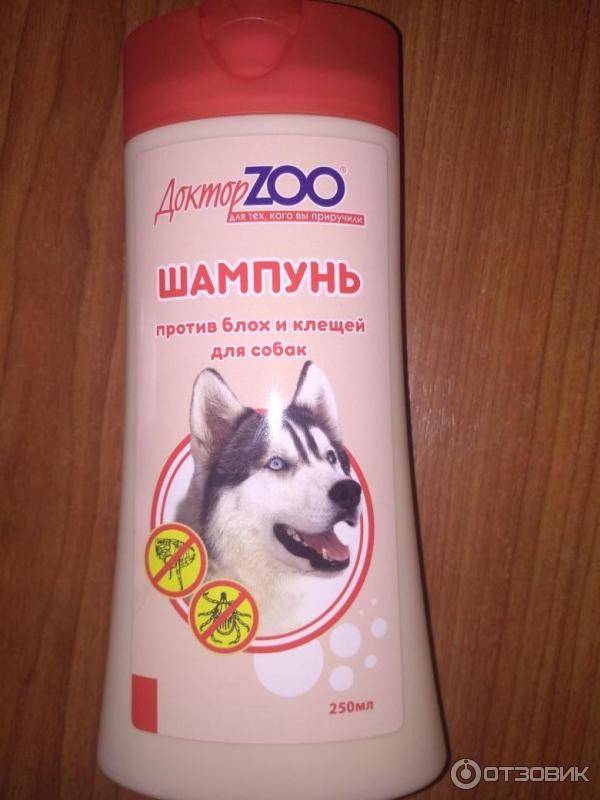 Как часто можно мыть собаку | dogkind.ru