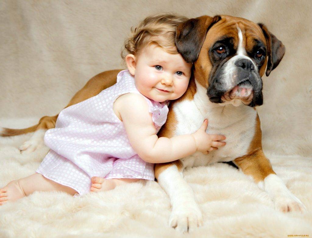 15 самых добрых пород собак для всей семьи