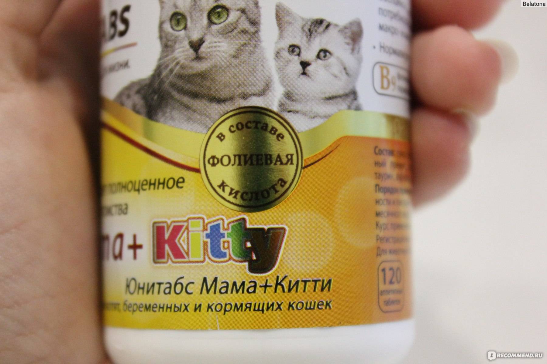 Топ-17 лучших витаминов для котят ? - рейтинг, обзор и описание